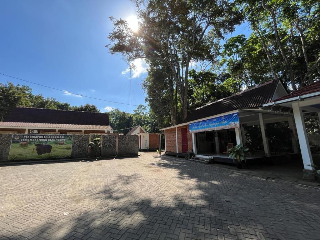Capital O 92612 Penginapan D'Alas Purwo & Beachnearpadang Savana Sadengan Banyuwangi  Εξωτερικό φωτογραφία